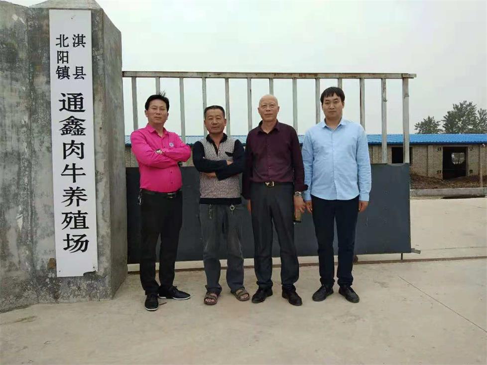 淇縣北陽鎮通鑫肉牛養殖場