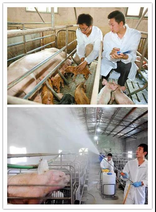 臻美農牧集團 臻美農牧集團