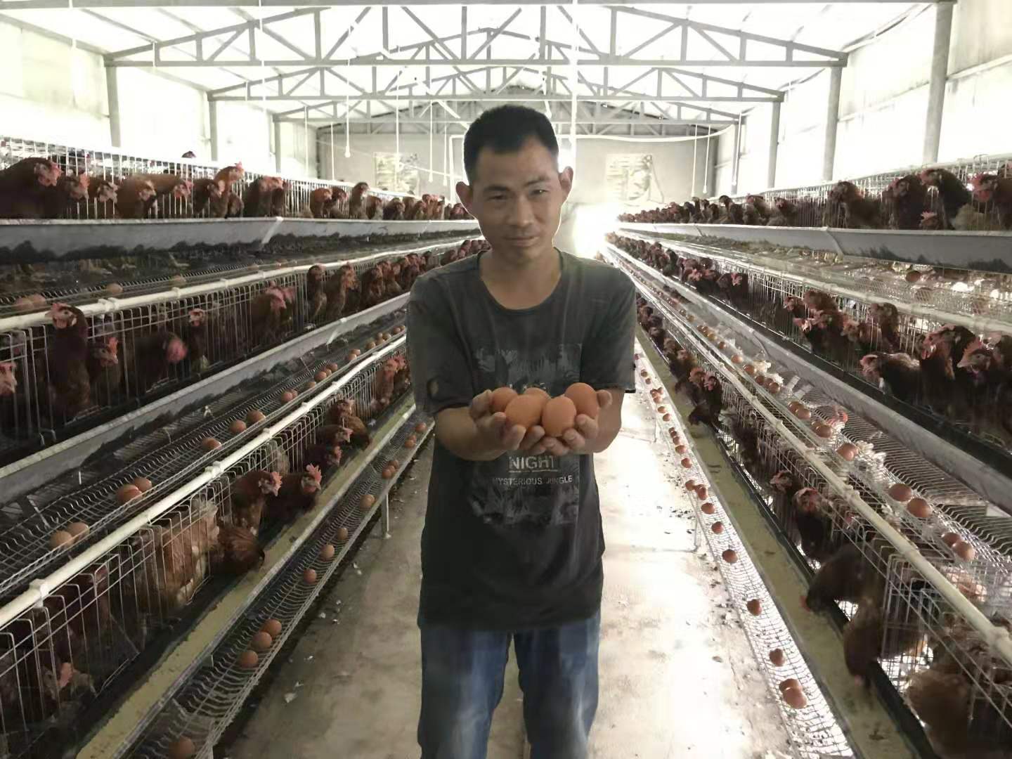 臻美農(nóng)牧集團