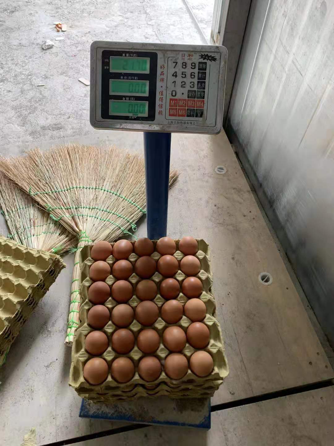 臻美農(nóng)牧集團