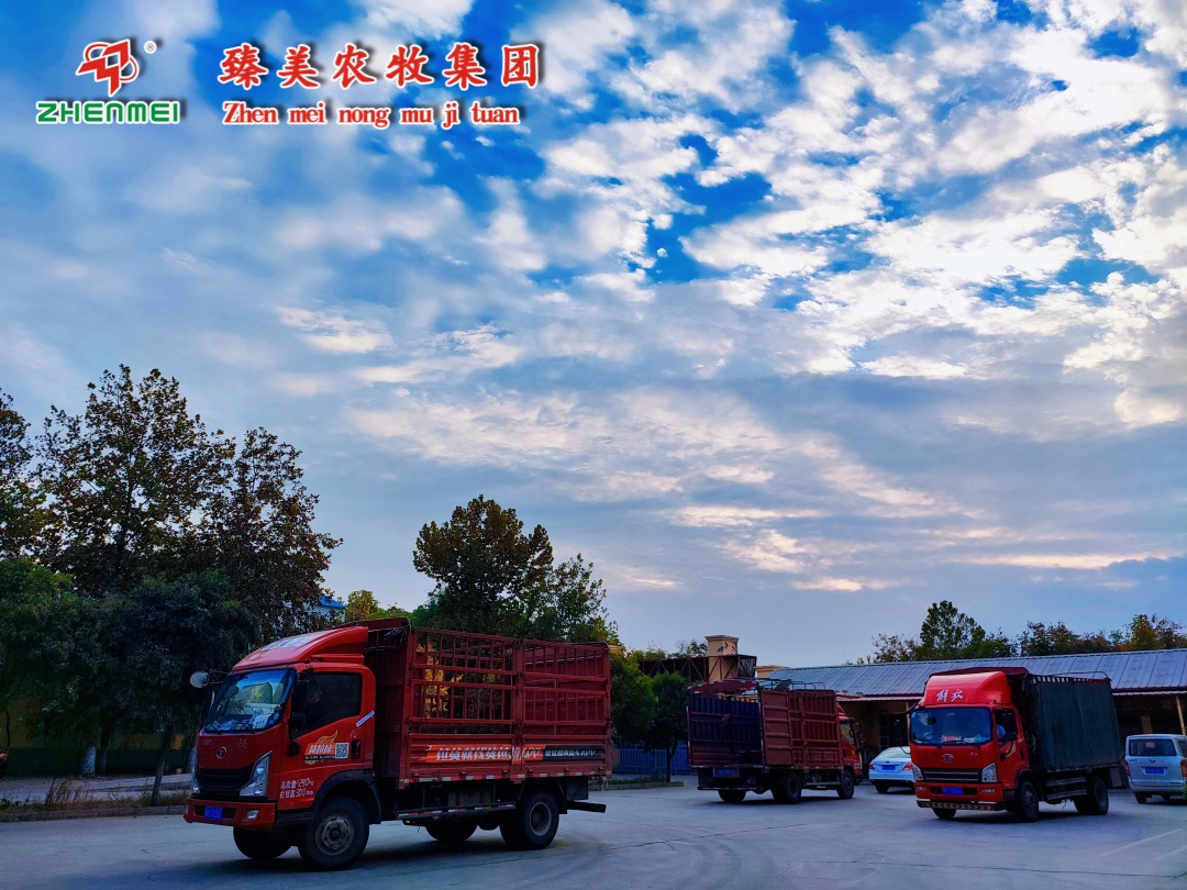 疫情爆發(fā)期間,一群堅(jiān)守崗位的臻美人!