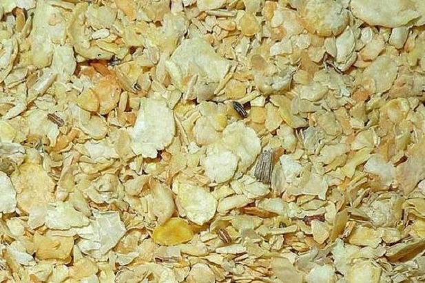 豆粕圖片.jpeg 豆粕圖片.jpeg